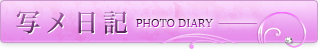 写メ日記